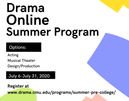 Online Summer Pre-College Program